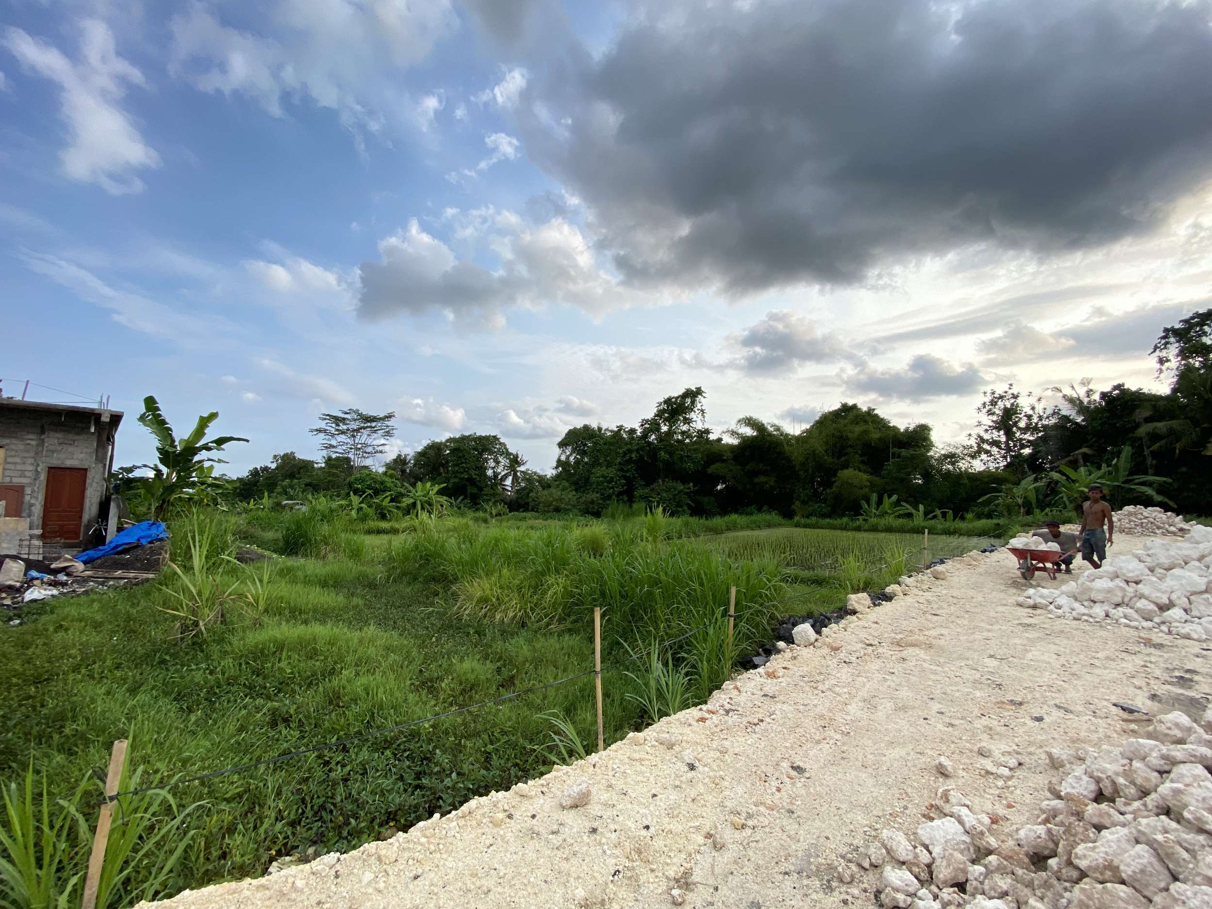 Tedung, Abianbase, Gianyar