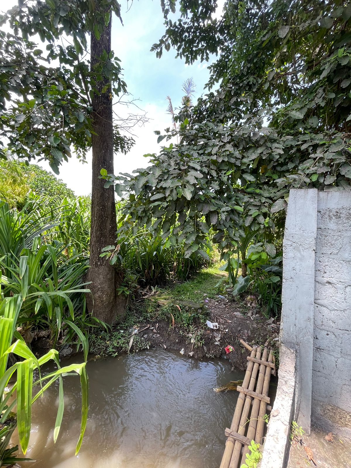 Tumbak Bayuh, Badung