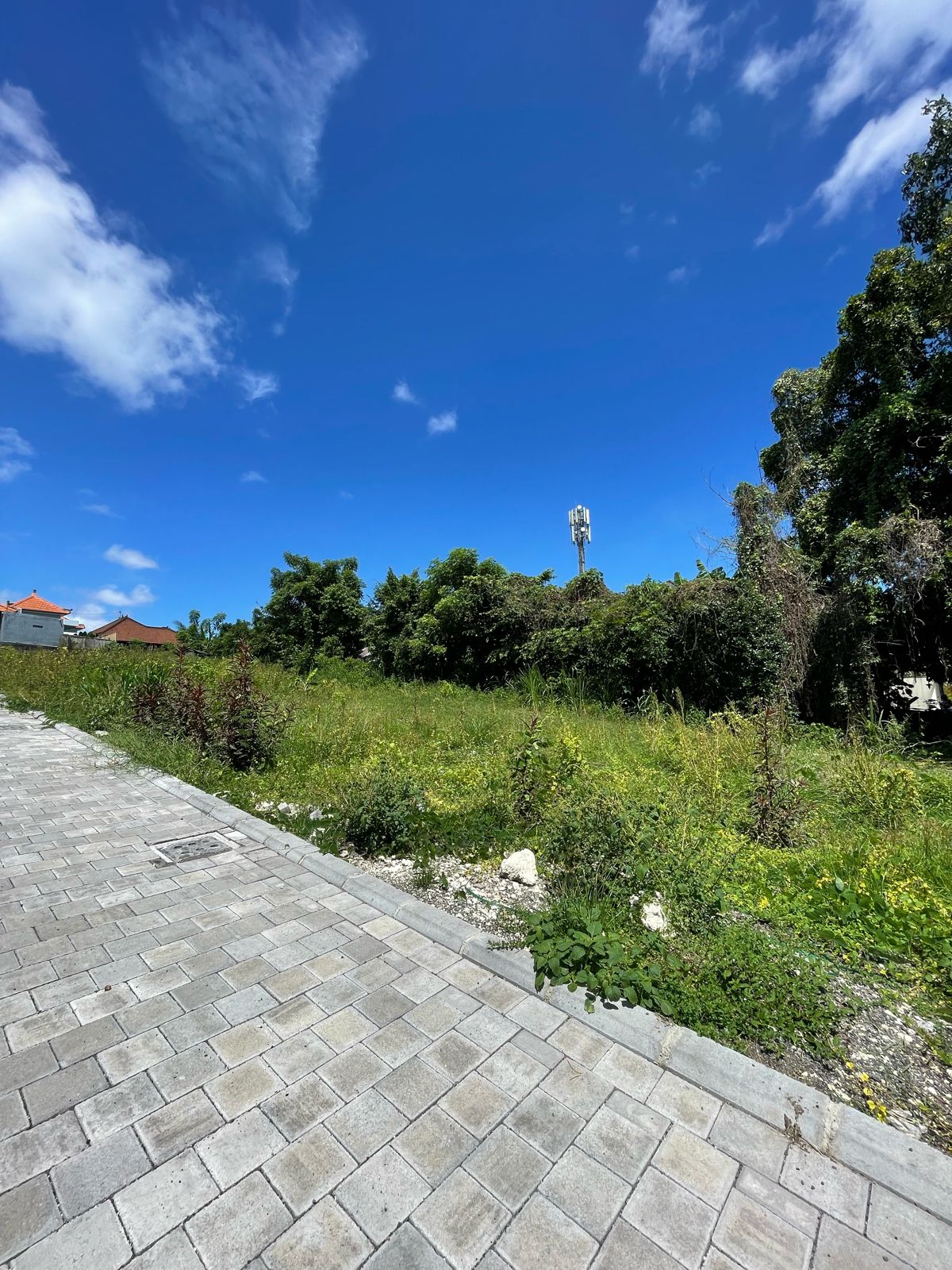 Tumbak Bayuh, Canggu