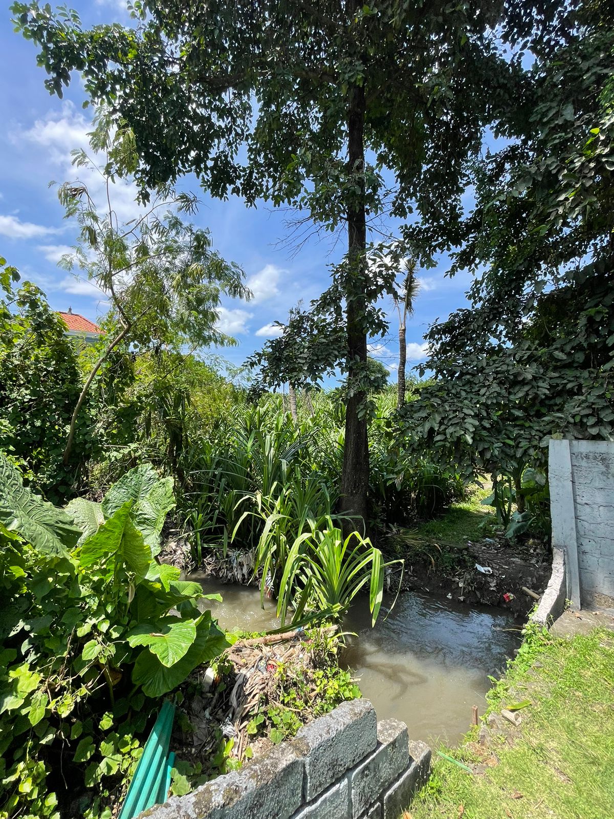 Tumbak Bayuh, Badung