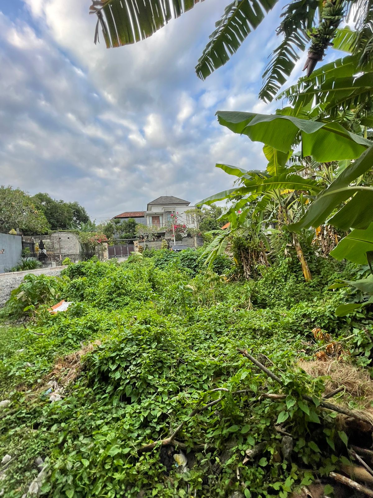 Ubung Kaja, Denpasar Utara